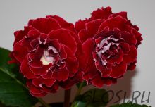 ЕН-Татьянка (сел.Е.Николаева)