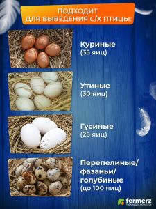 Инкубатор JJC-35 на 35 яиц, автоматический интеллектуальный инкубатор для яиц