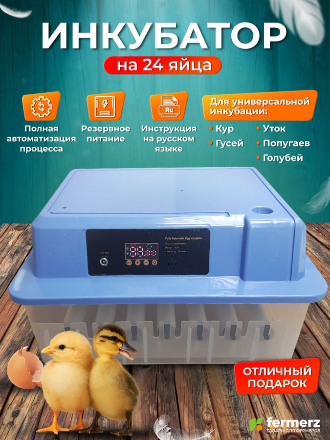 Инкубатор на 24 куриных яиц с резервным питанием, автоматическим переворотом и встроенным овоскопом