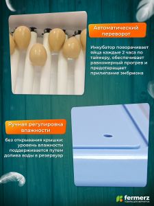 Инкубатор на 24 куриных яиц с резервным питанием, автоматическим переворотом и встроенным овоскопом