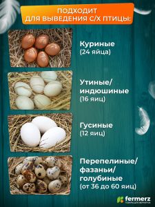 Инкубатор на 24 куриных яиц с резервным питанием, автоматическим переворотом и встроенным овоскопом