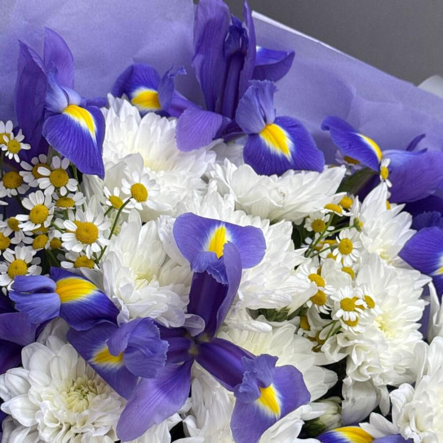 Ирисы и хризантема