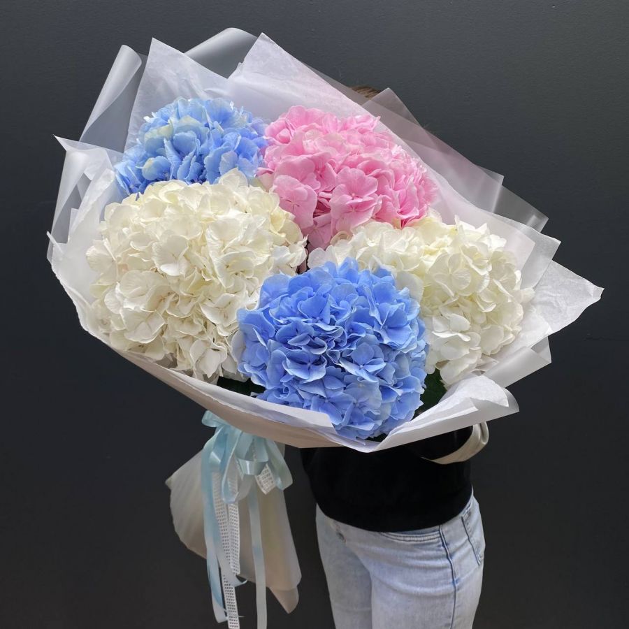 5 Гортензий