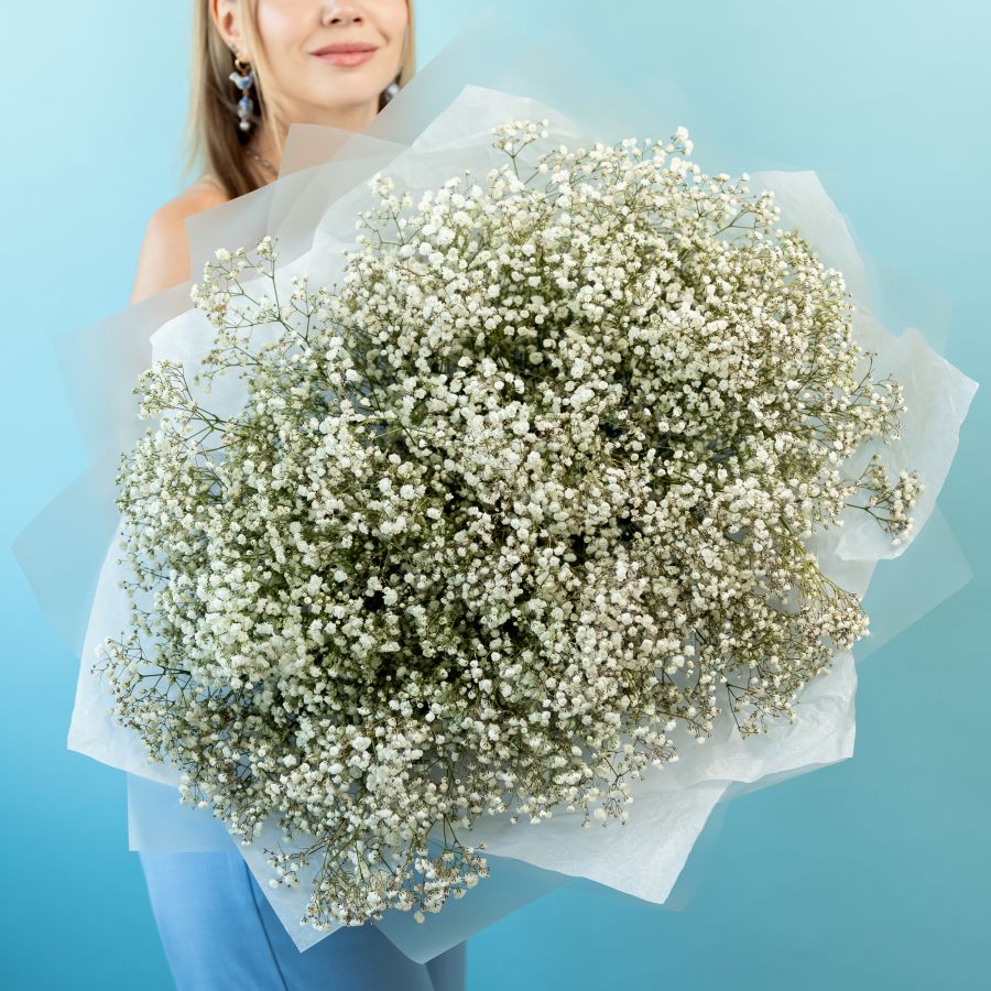 25 белых гипсофил