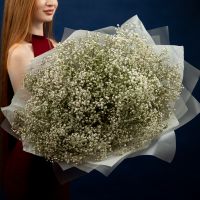Гипсофила белая 25шт