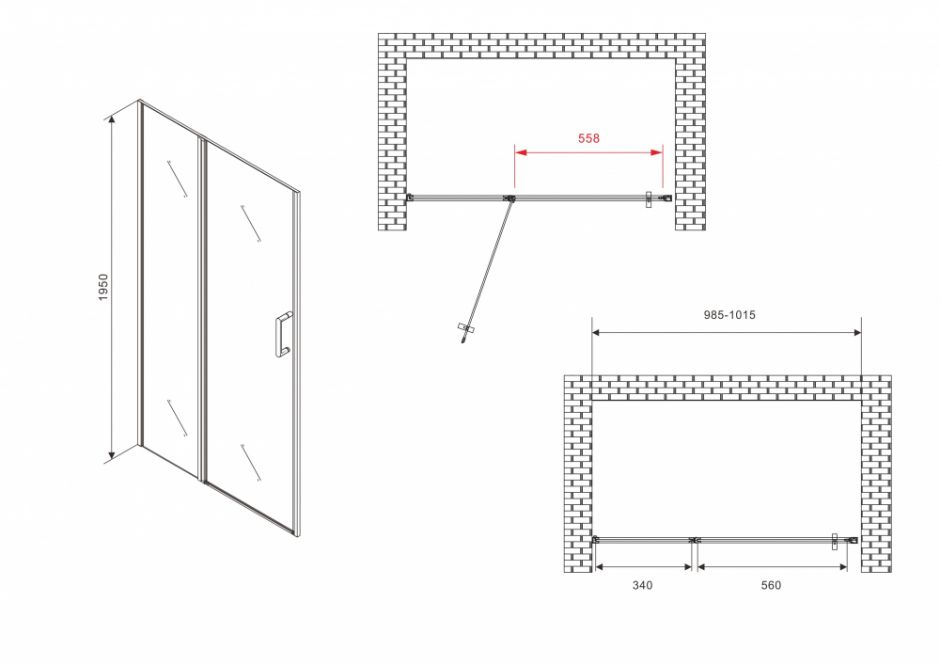 Душевая дверь ABBER Sonnenstrand AG04100BS 100 см ФОТО