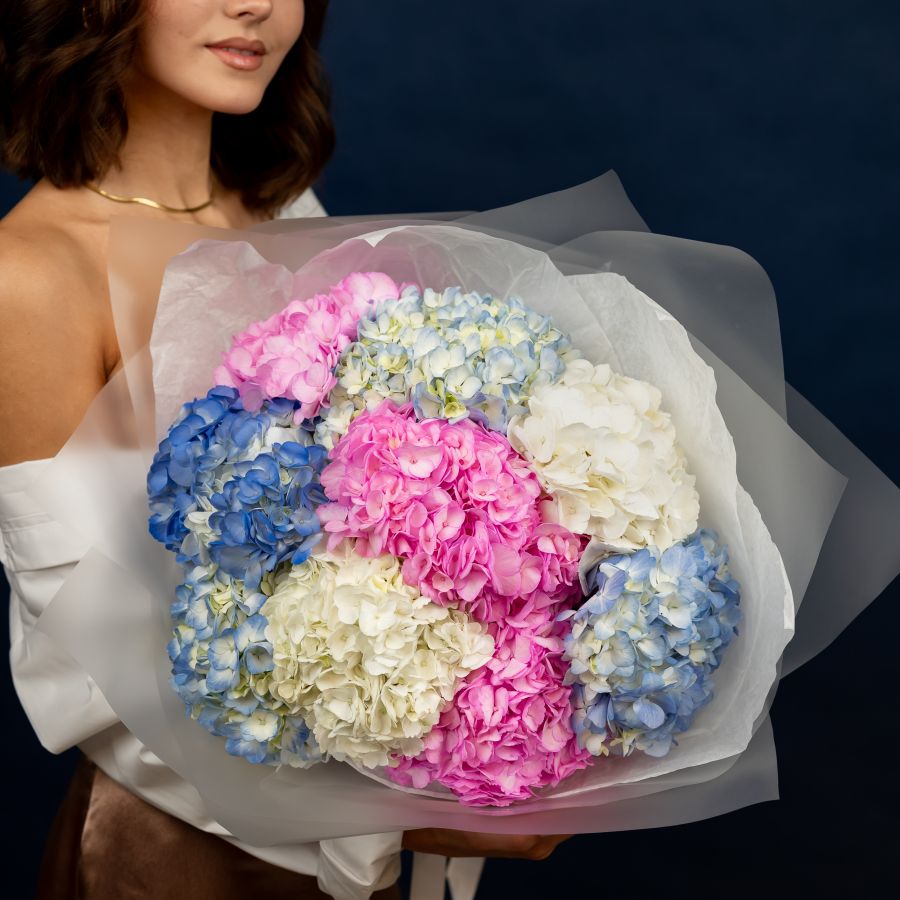 Гортензия 9 шт