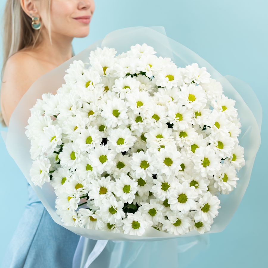 15 хризантем (сорт Бакарди)