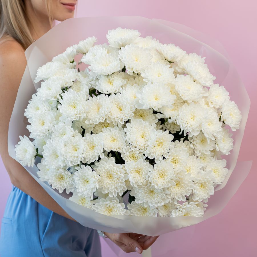 15 хризантем (сорт Алтай)