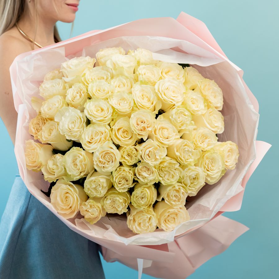 51 роза сорт мондиаль