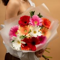 11 гербер микс с фисташкой