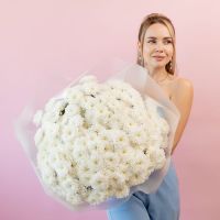 Хризантема (сорт Алтай) от 5 шт