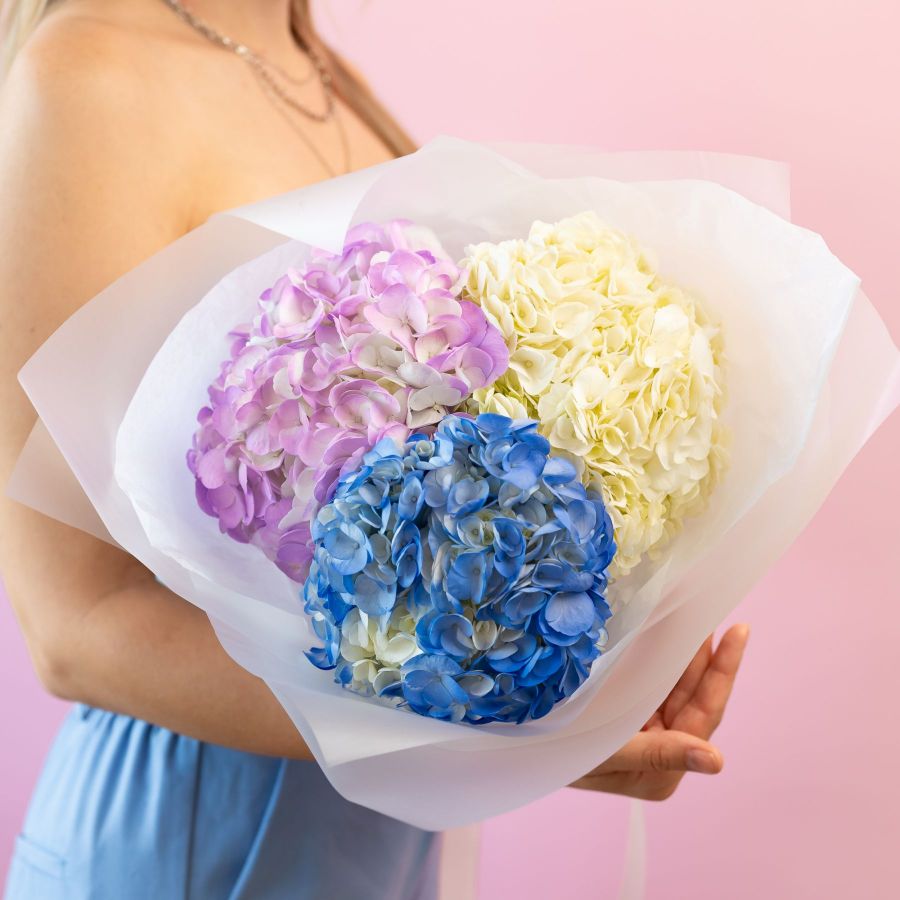 Гортензия от 3 шт