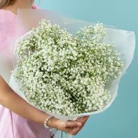 Гипсофила микс от 7 шт