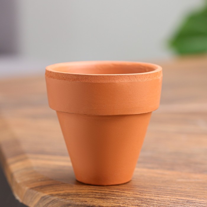 Горшок для цветов «Конус», 50 мл, d=6 см, h=6 см, керамический, с поддоном, цвет терракот