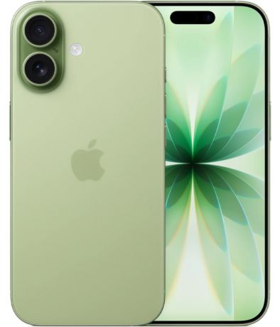 Apple iPhone 17 256Gb Sage (eSim)