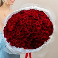 101 красная роза в упаковке (60см)
