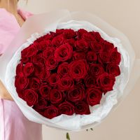 51 красная роза в упаковке (60см)