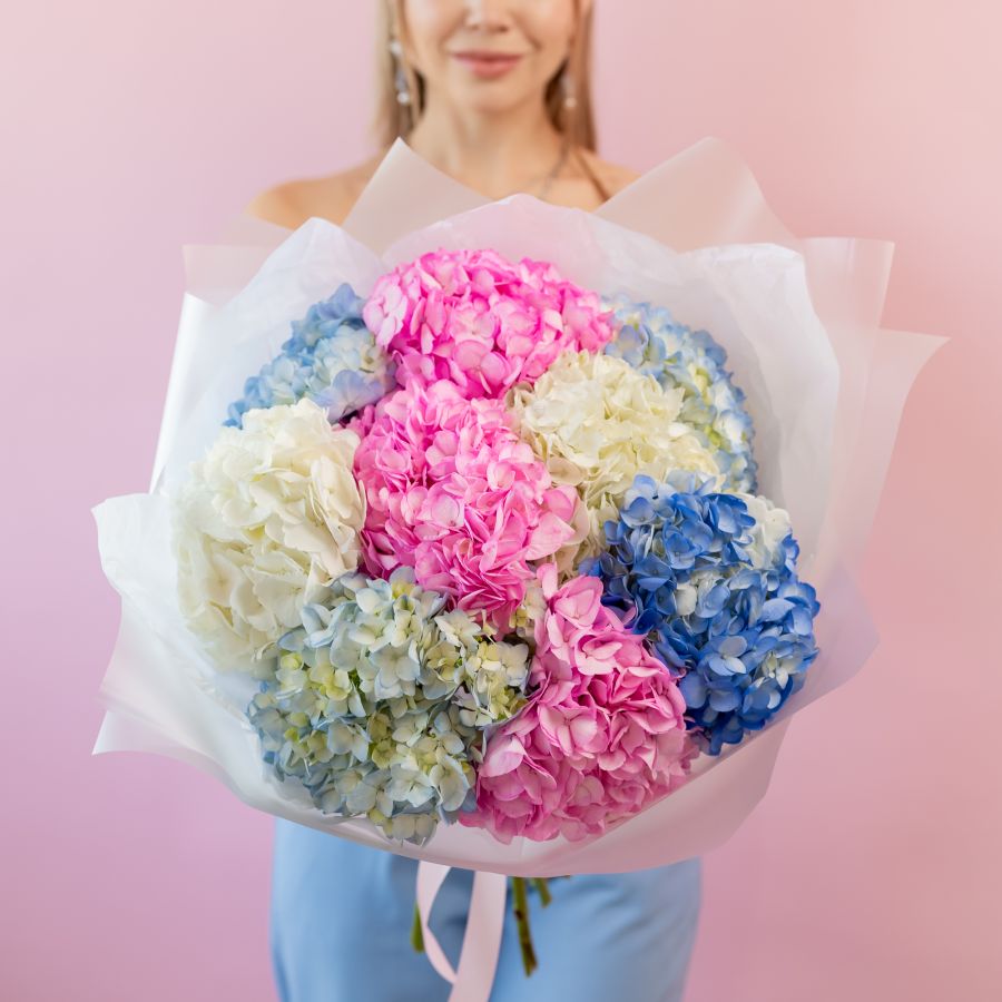 Гортензия 9 шт