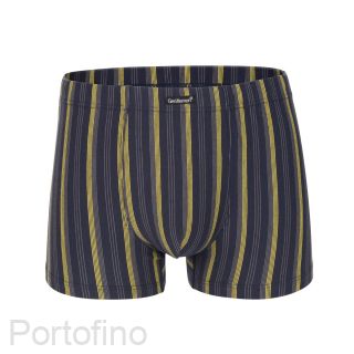 GS-7868 Трусы шорты мужские