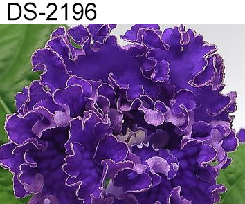 DS-2196 (Диметрис)  НОВИНКА КАТАЛОГА!