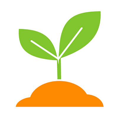 Растениеводство