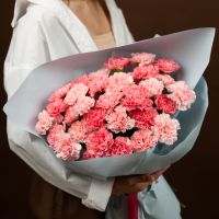 35 диантусов розовых