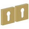 Дверная Накладка Bravo AS-6CL SGold / Браво