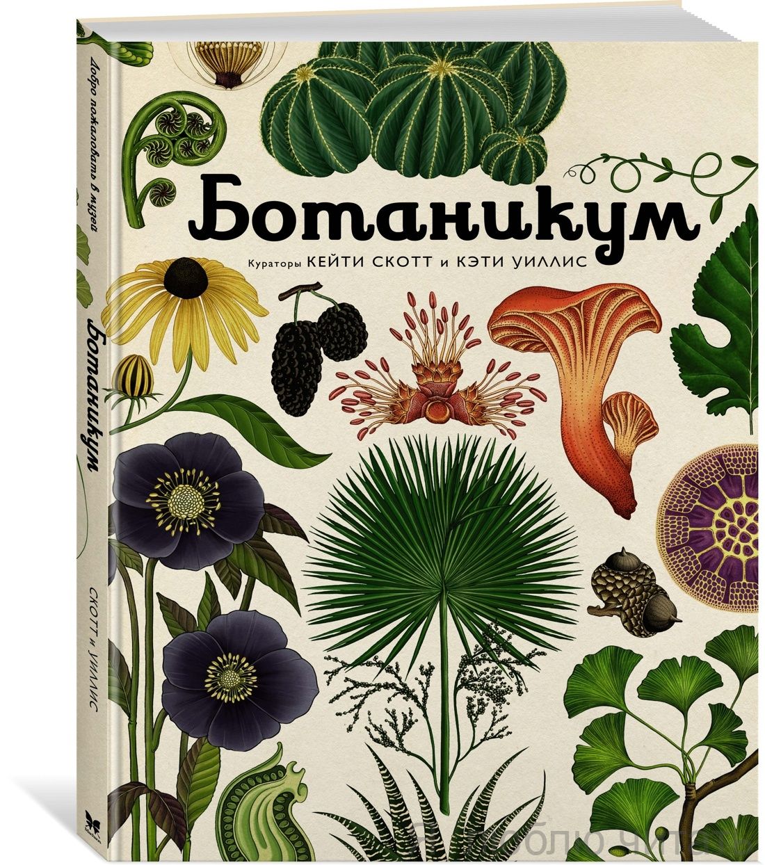 Ботаникум