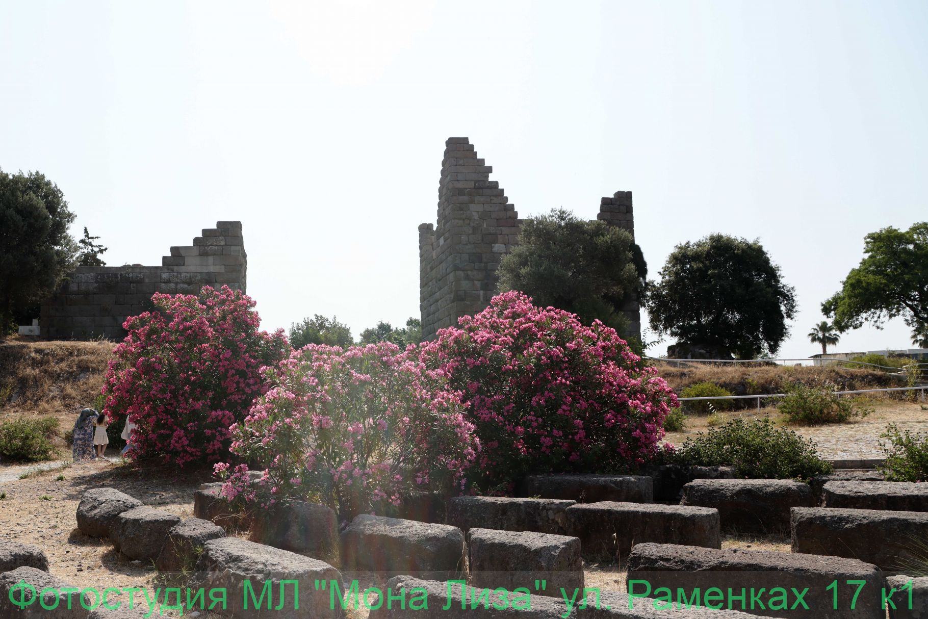 Александров