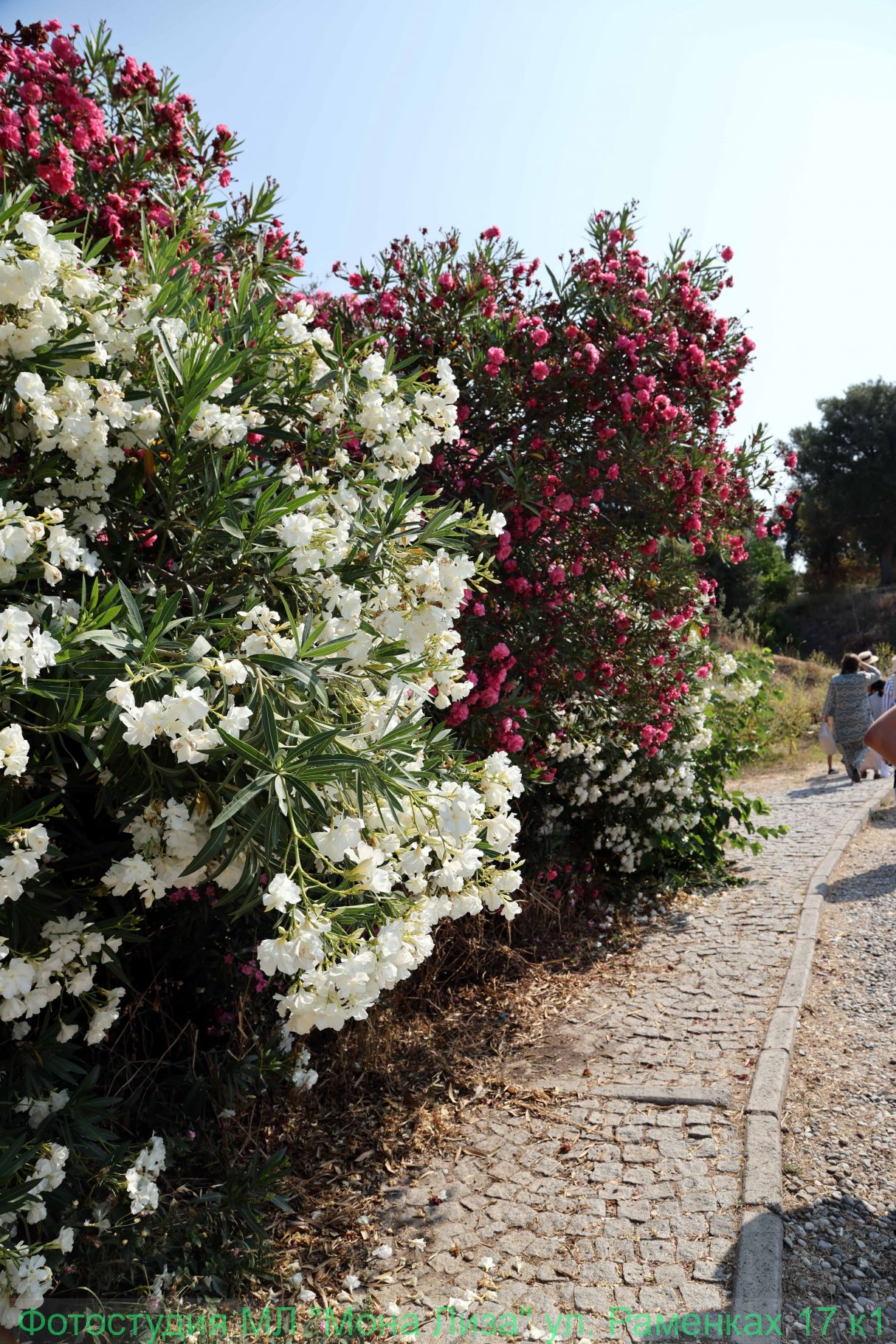 Александров