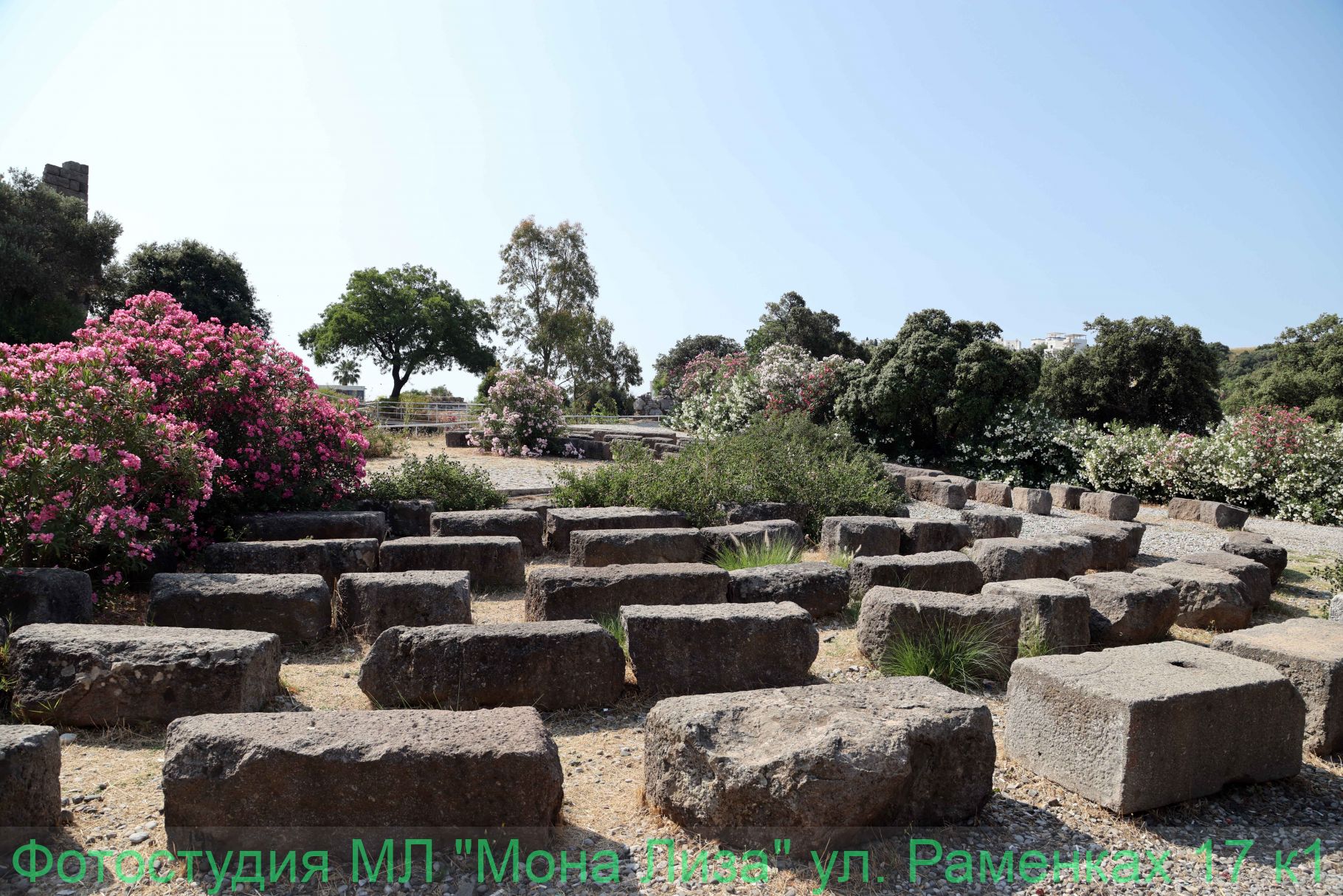 Александров