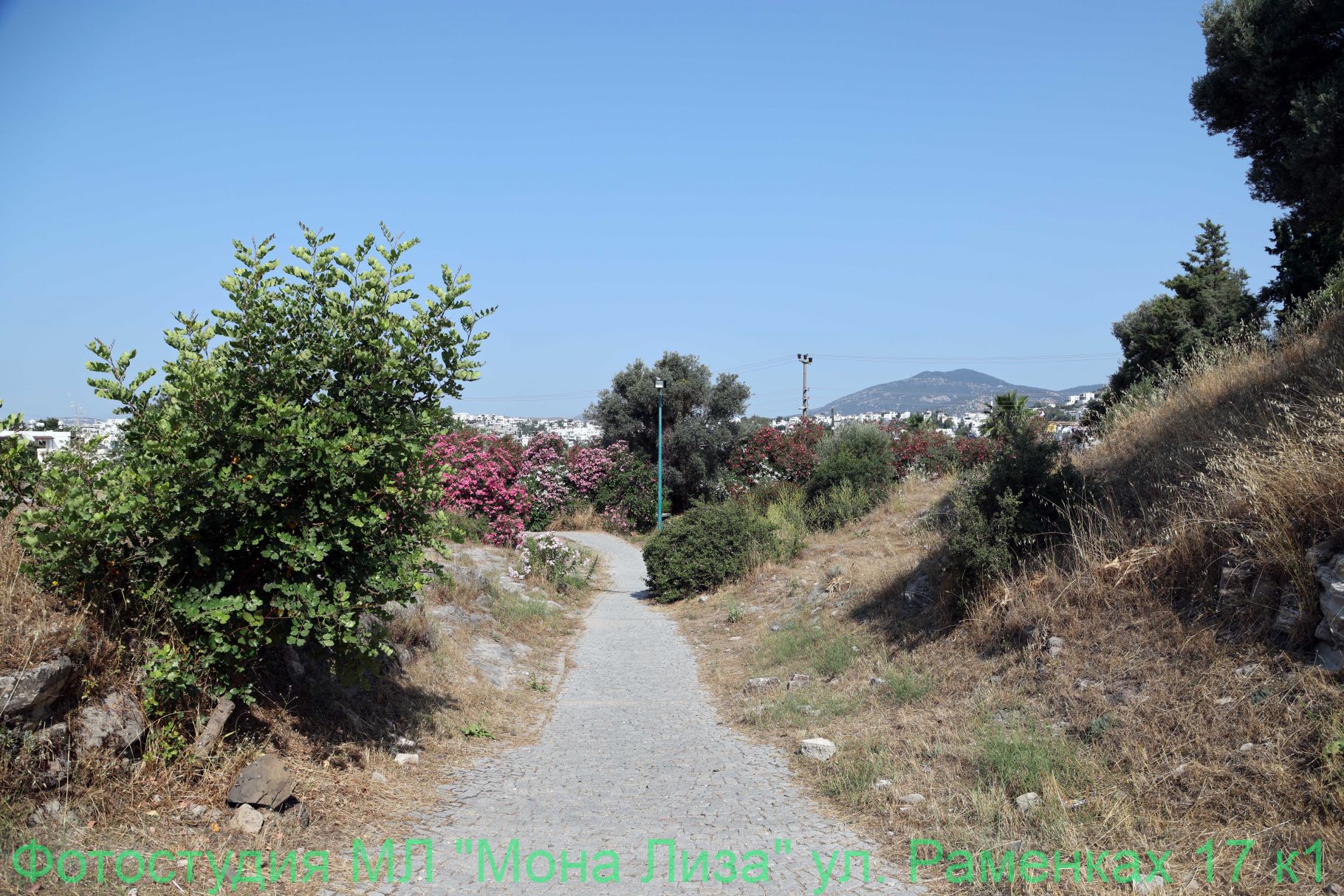 Александров