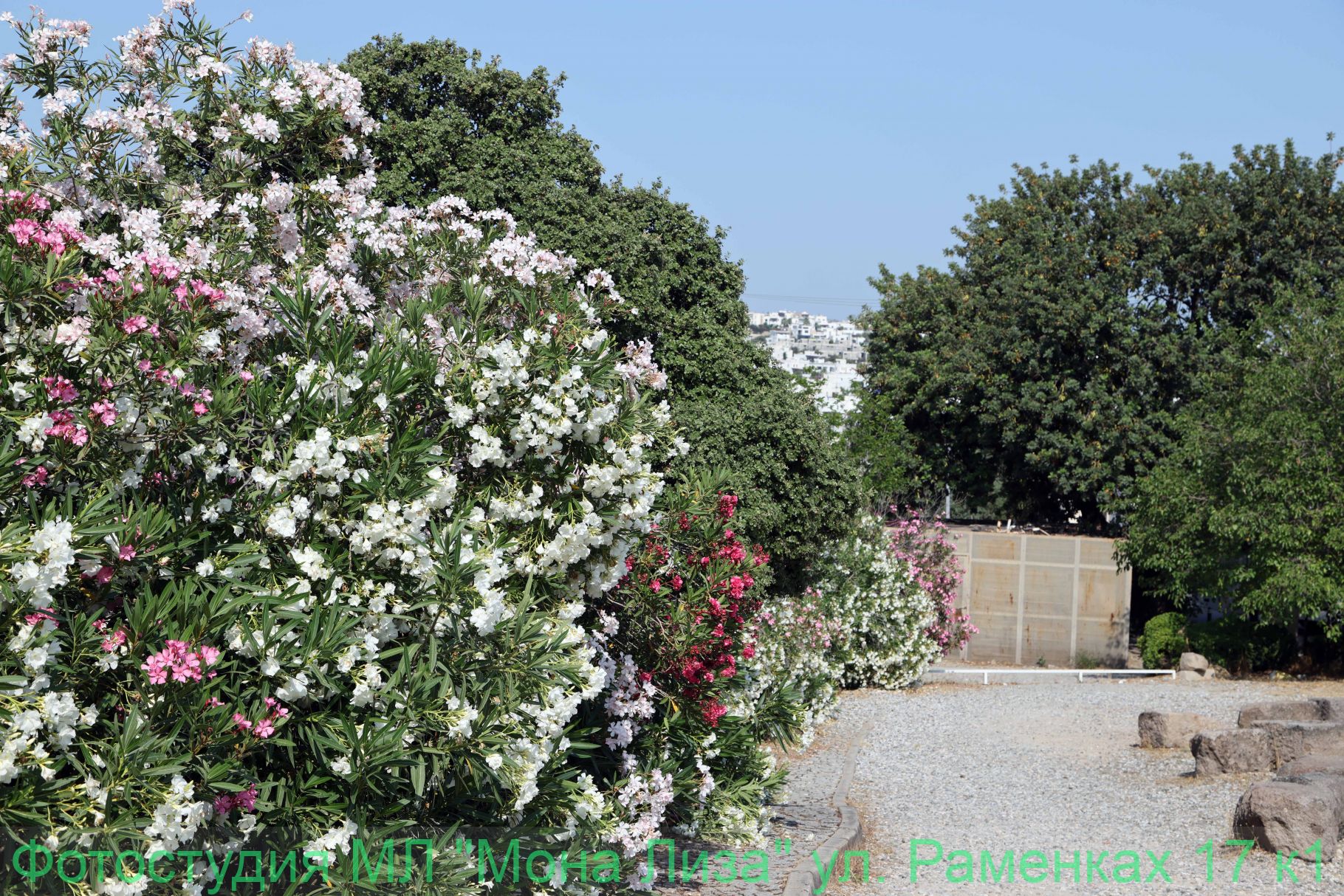 Александров