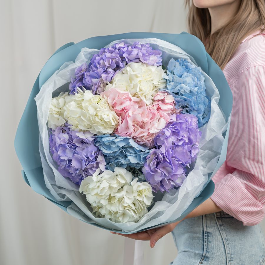 9 гортензий микс