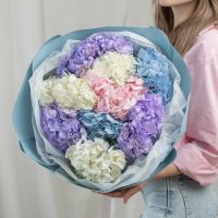 9 гортензий микс