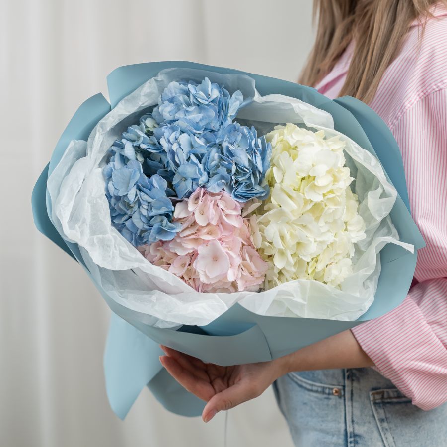 3 гортензии микс