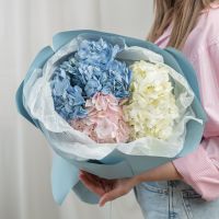 3 гортензии микс