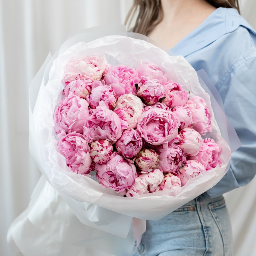 25 пионов (сорт Сара Бернард)