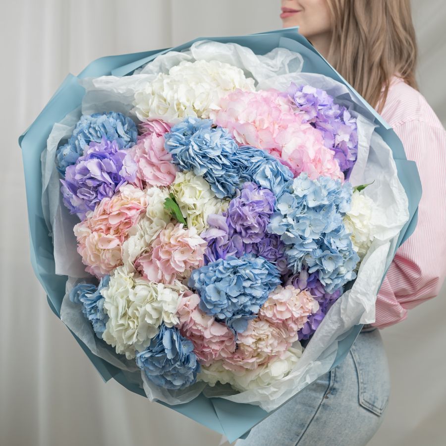 25 гортензий микс