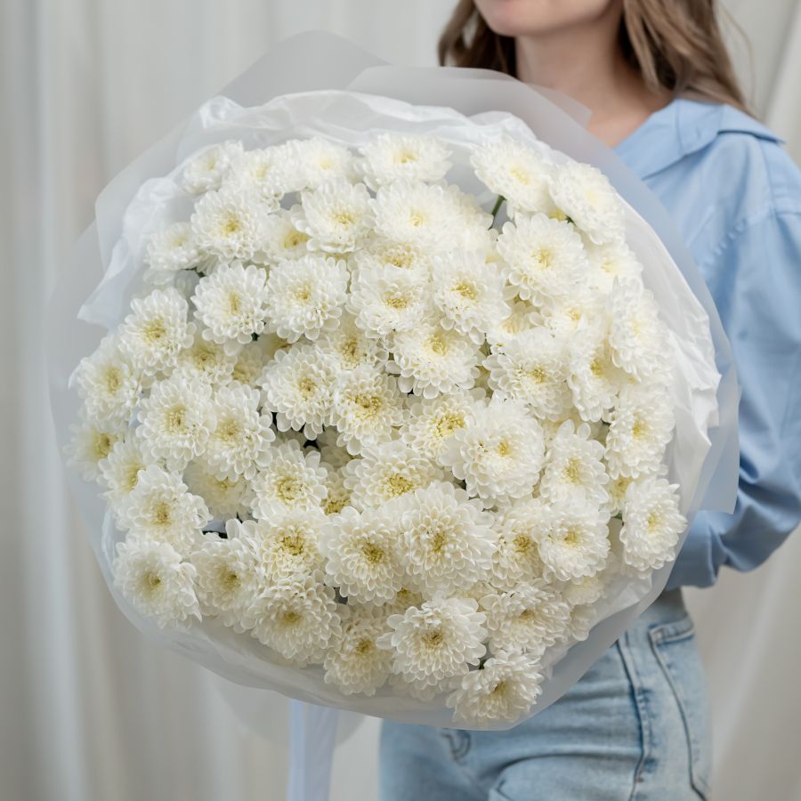 15 белых хризантем (сорт Алтай)