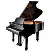 Рояль Sam Martin GP-158E BP Black