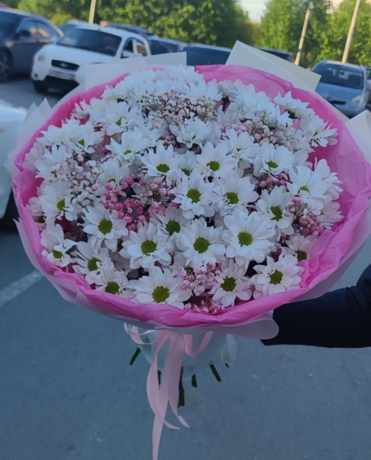 Ромашковые истории