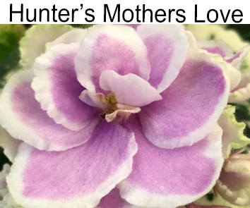 Hunter s Mothet Love  (K.Muzalewski.)