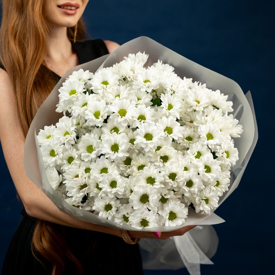 Хризантема (сорт Бакарди) 15 шт