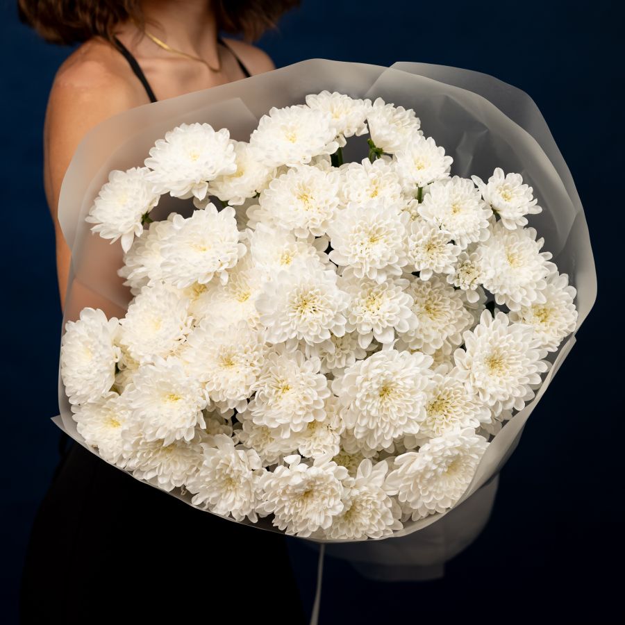 Хризантема (сорт Алтай) 9 шт