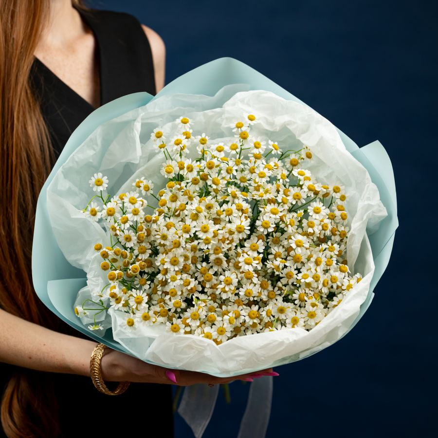 Матрикария 15 шт