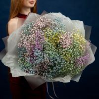 25 радужных гипсофил