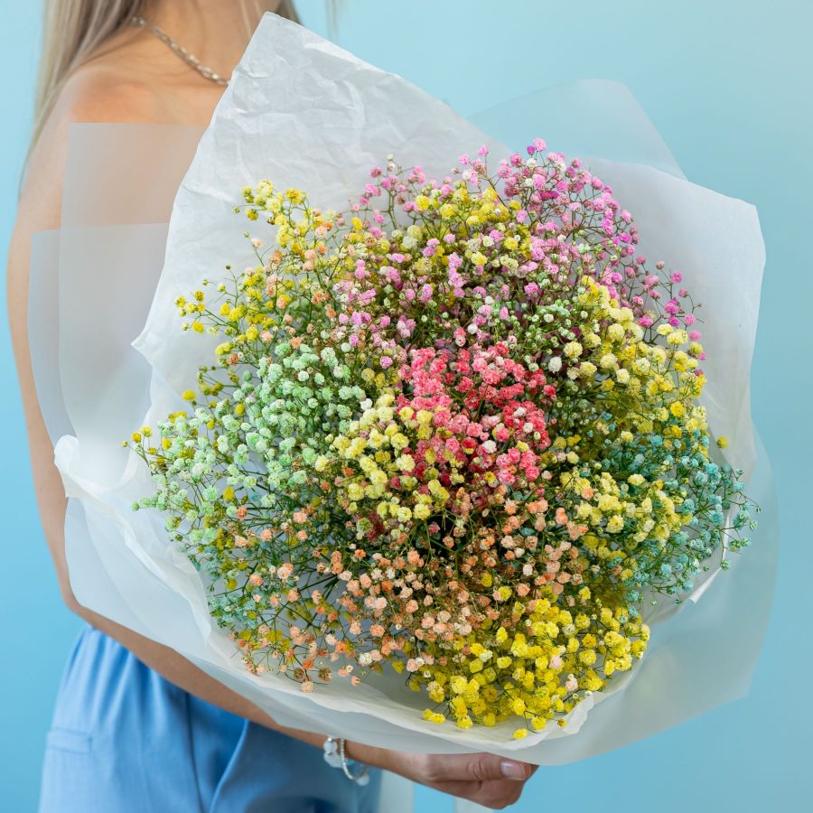 Радужная гипсофила от 7 шт