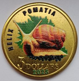 Виноградная улитка  3 доллара Малайта 2025